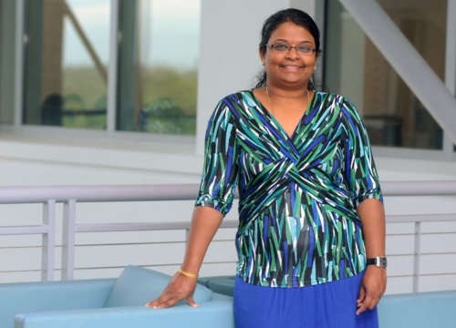 Dr. Bhuvaneswari Ramachandran, assistant professor in the University of West Florida Department of Electrical and Computer Engineering, focuses her research on sustainable and renewable energy sources.