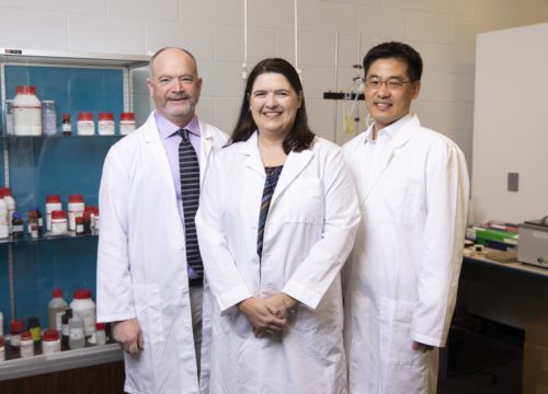 Dr. James Arruda, Dr. Crystal Bennett and Dr. Youngil Lee in the Cardiovascular Physiology Lab in Building 72. Three faculty in the Usha Kundu, MD College of Health at UWF engaged in research aimed at identifying, ameliorating or combating the causative mechanisms or symptoms of Alzheimer's disease.