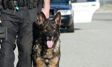 A K9 police officer with his dog.