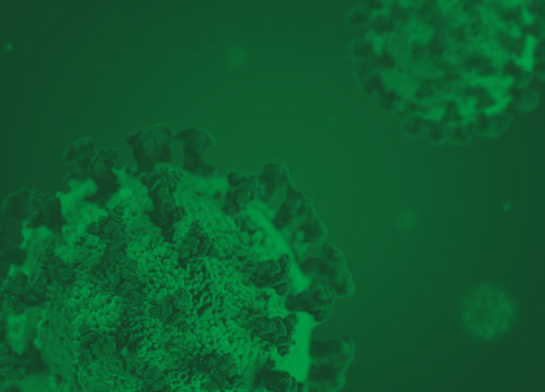 Green graphic of Coronavirus (COV-19) cells