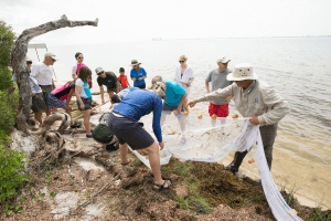 Robert Turpin. Manager, Marine Resources Division at Escambia County BCC helps participants with a seine net during the BioBlitz species identification and Biodiversity Festival at the Gulf Islands National Seashore Naval Live Oaks Area.