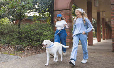 Photo- two girls walk on a sidewalk toward the camera. One of the girls wears a colored-blue hat and walks with a dog on a leash. The other girl has a colored-white decorative bandana on her head.