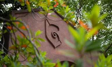 Archway with nautilus shell surrounded by greenery sprinkled with orange leaves