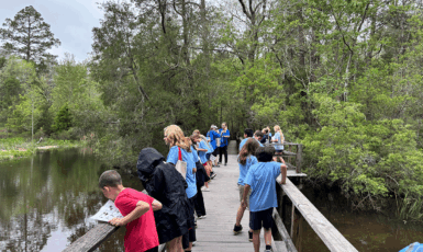 Group of children on a wooden boardwalk observing the surrounding water and trees during a nature excursion.