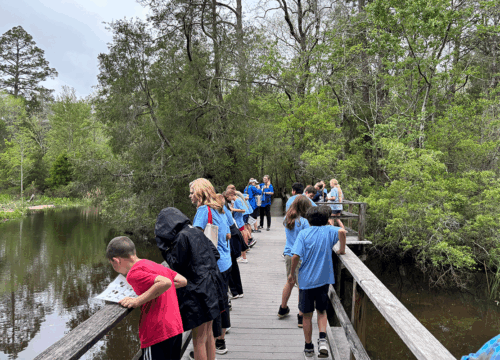 Group of children on a wooden boardwalk observing the surrounding water and trees during a nature excursion.