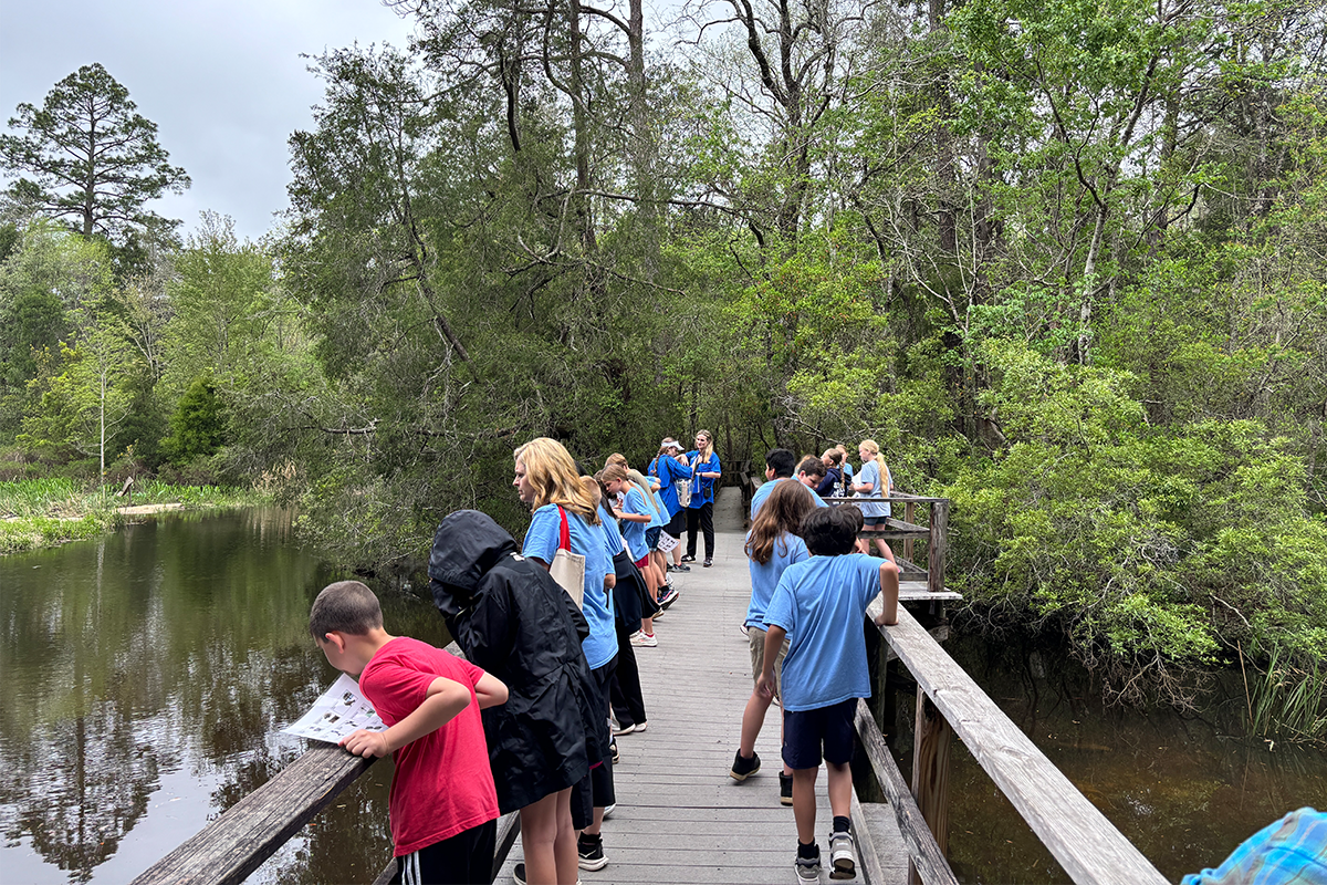 Group of children on a wooden boardwalk observing the surrounding water and trees during a nature excursion.