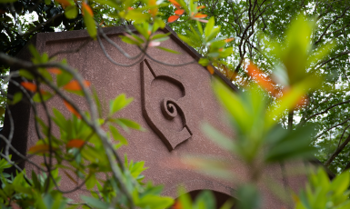 Archway with nautilus shell design surrounded by a tree with green and orange leaves.