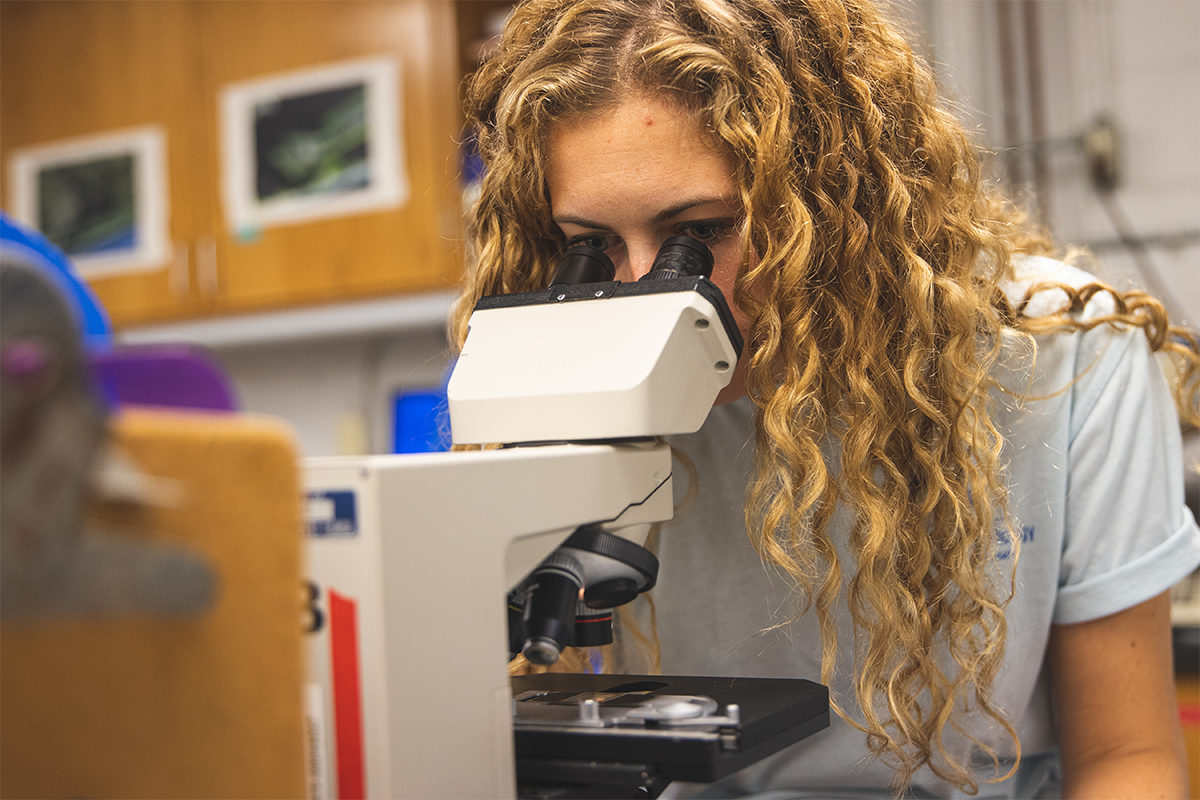 Student looks into microscope in a lab