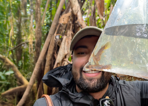 Researcher in a rain jacket holds up a clear bag with fish inside in the Brazilian Amazon.